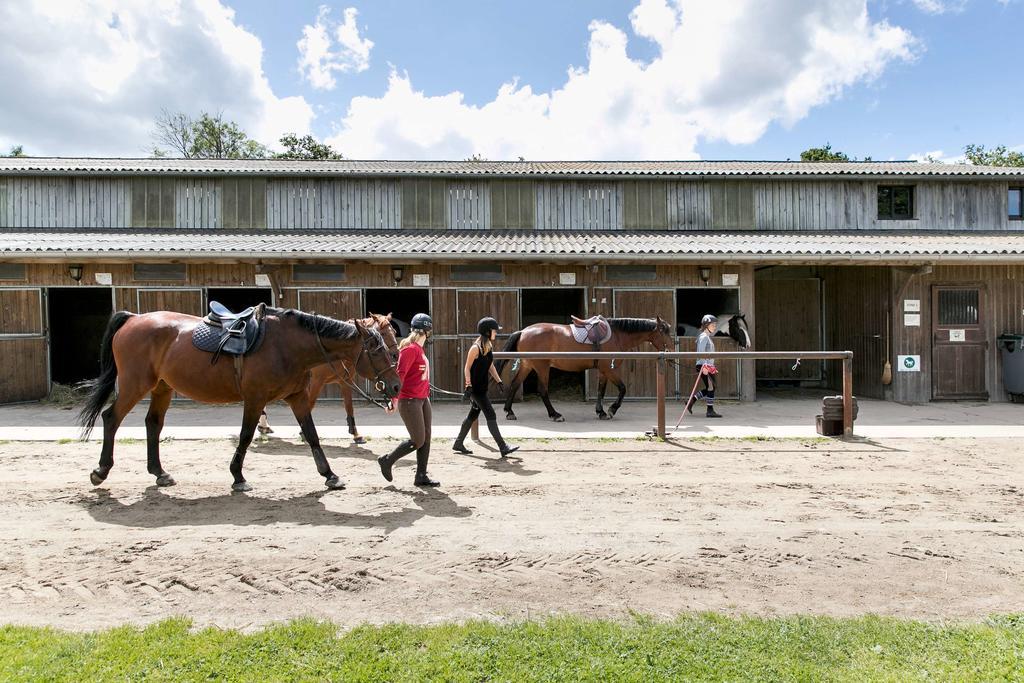 Appartements Les Ormes Epiniac Kültér fotó