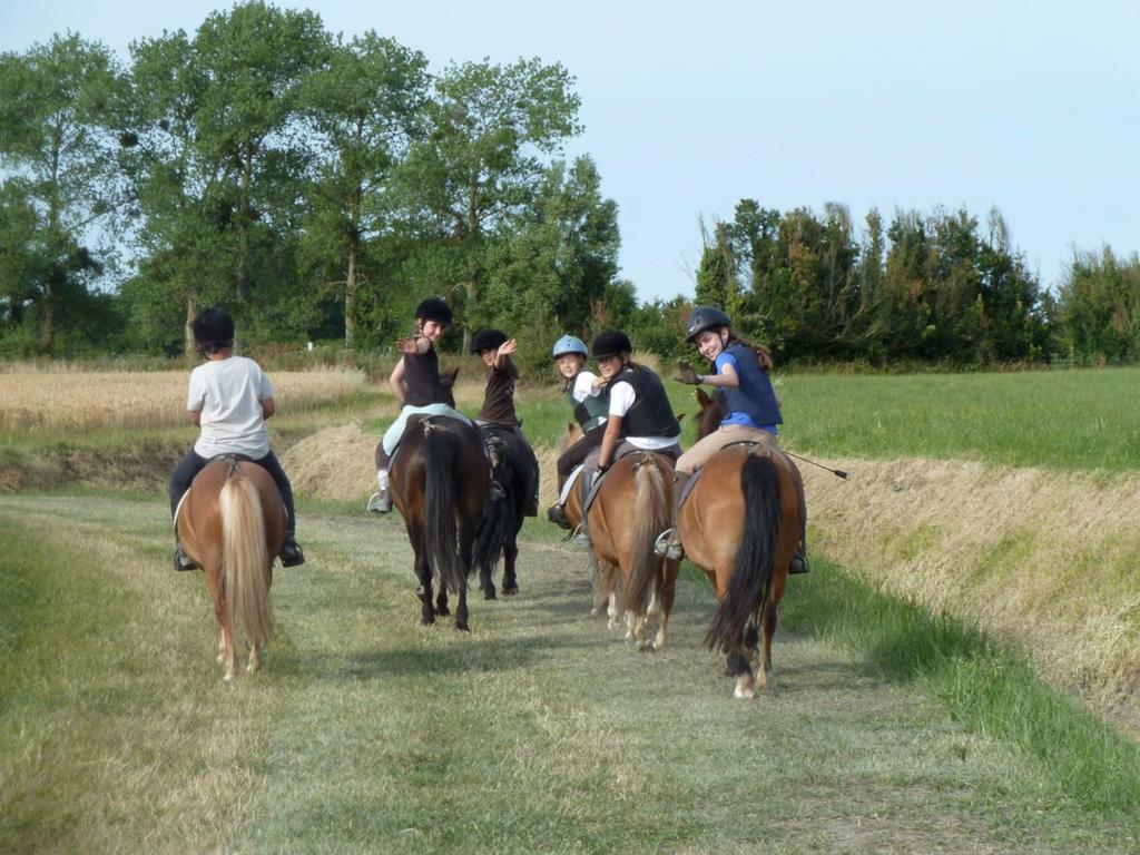 Appartements Les Ormes Epiniac Kültér fotó